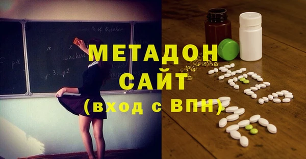 индика Алзамай