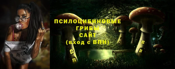 индика Алзамай