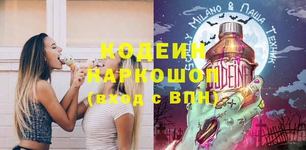 индика Алзамай