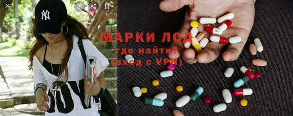 индика Алзамай