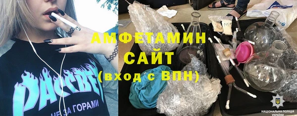 индика Алзамай
