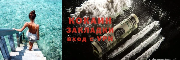 индика Алзамай