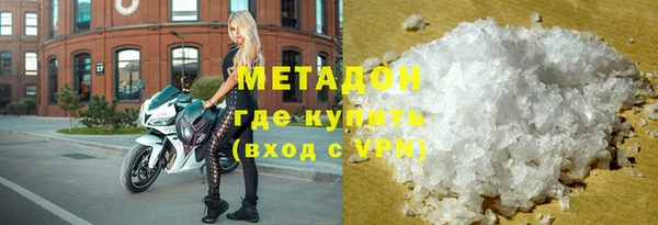 индика Алзамай