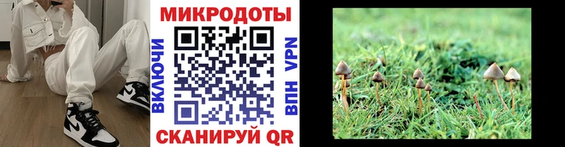 Псилоцибиновые грибы мицелий Льгов